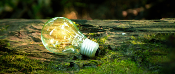 Sustainability Light Bulb